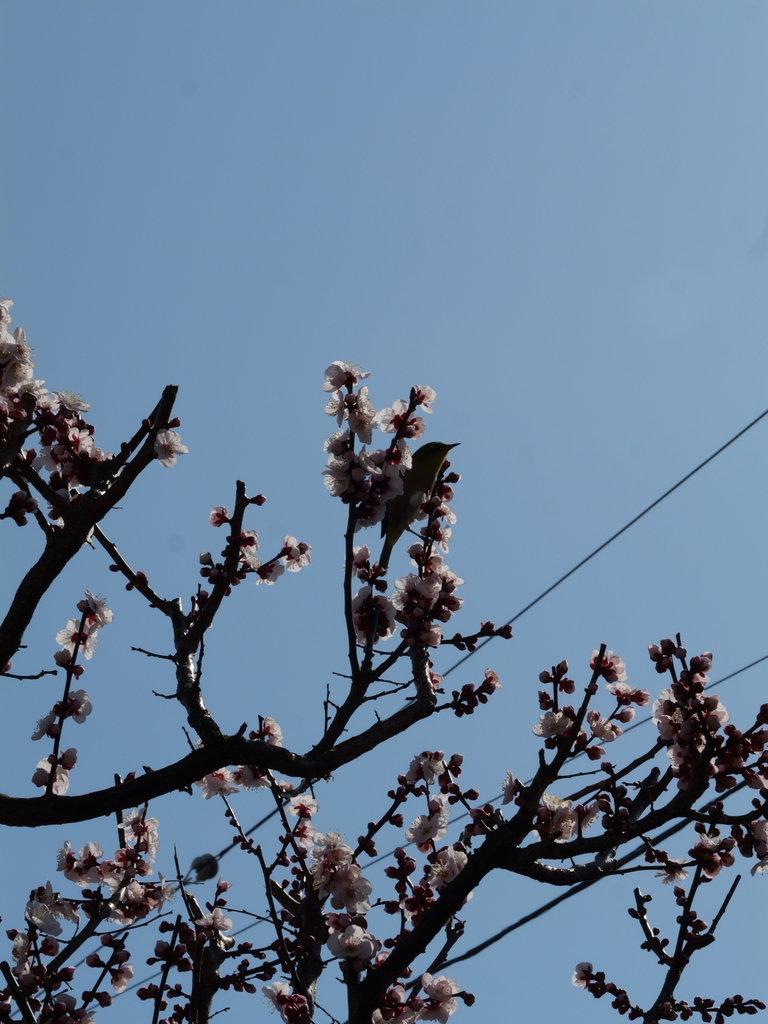 2025-02-28 13_01№(0035).JPG