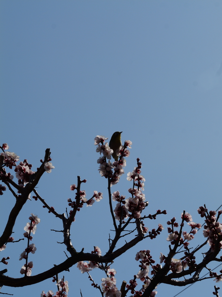2025-02-28 13_01№(0036).JPG
