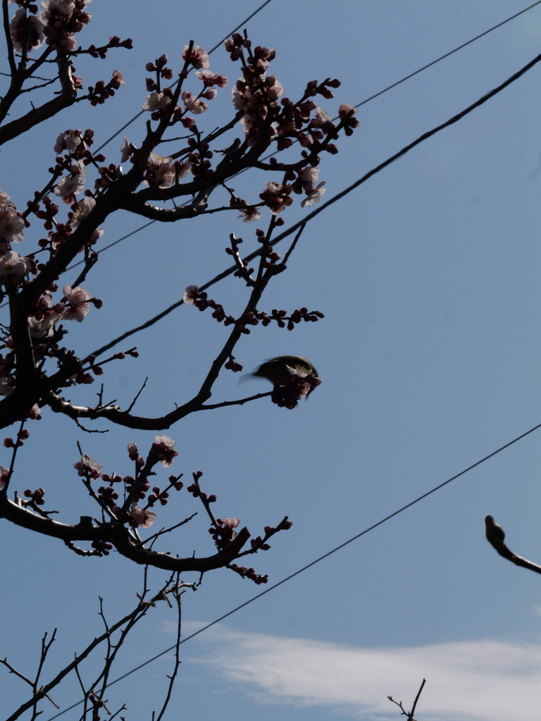 2025-02-28 13_02№(0038).JPG
