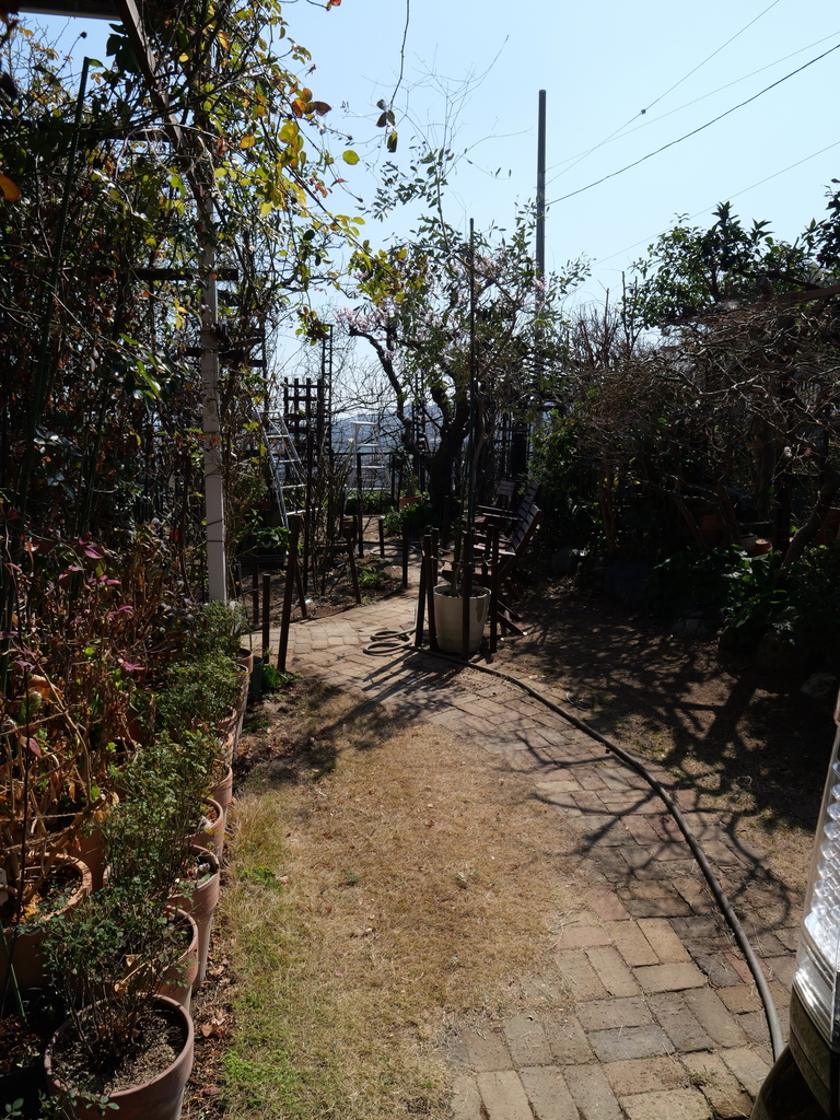 2025-03-01 11_33№(0001).JPG