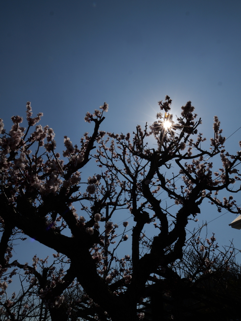 2025-03-01 11_42№(0019).JPG
