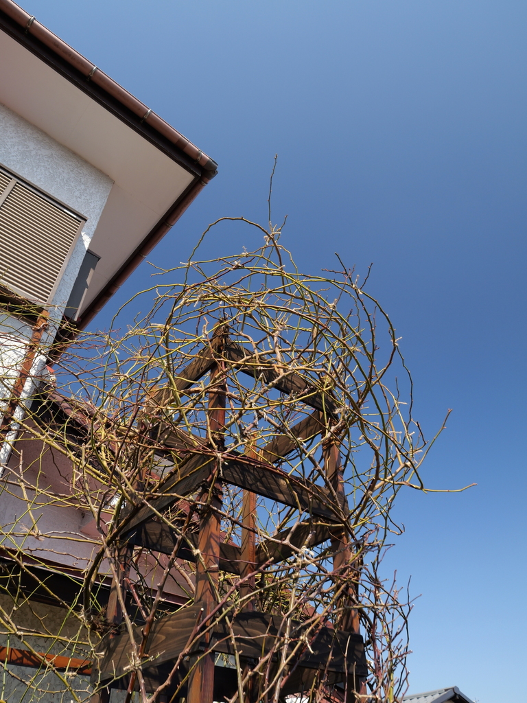 2025-03-01 11_44№(0027).JPG