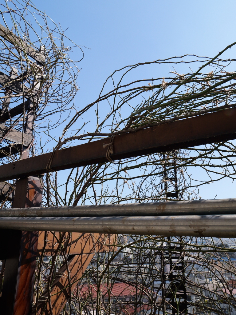 2025-03-01 11_45№(0033).JPG