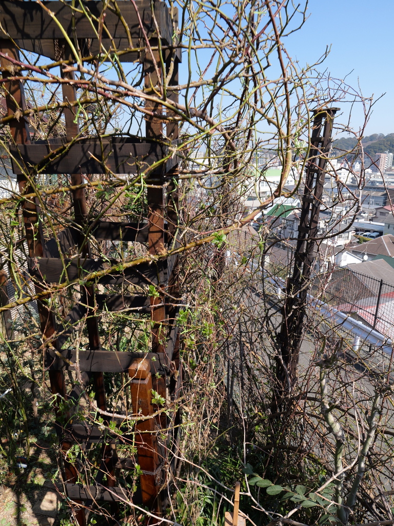 2025-03-01 11_47№(0039).JPG
