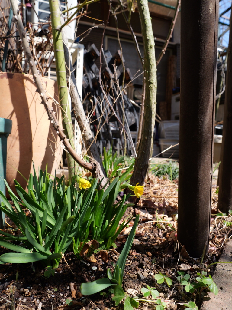 2025-03-01 11_54№(0053).JPG