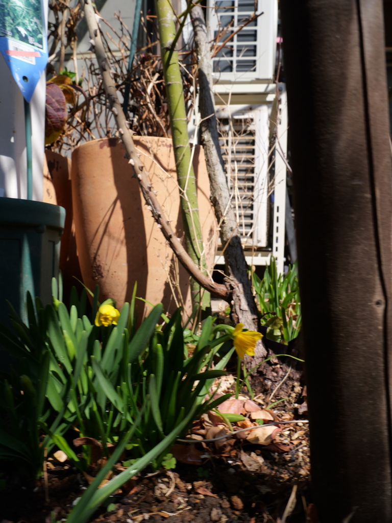 2025-03-01 11_54№(0055).JPG