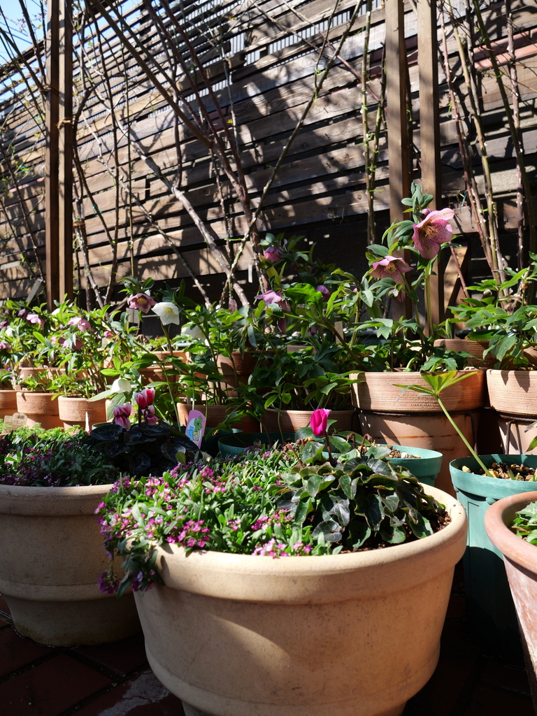 2025-03-01 11_55№(0057).JPG