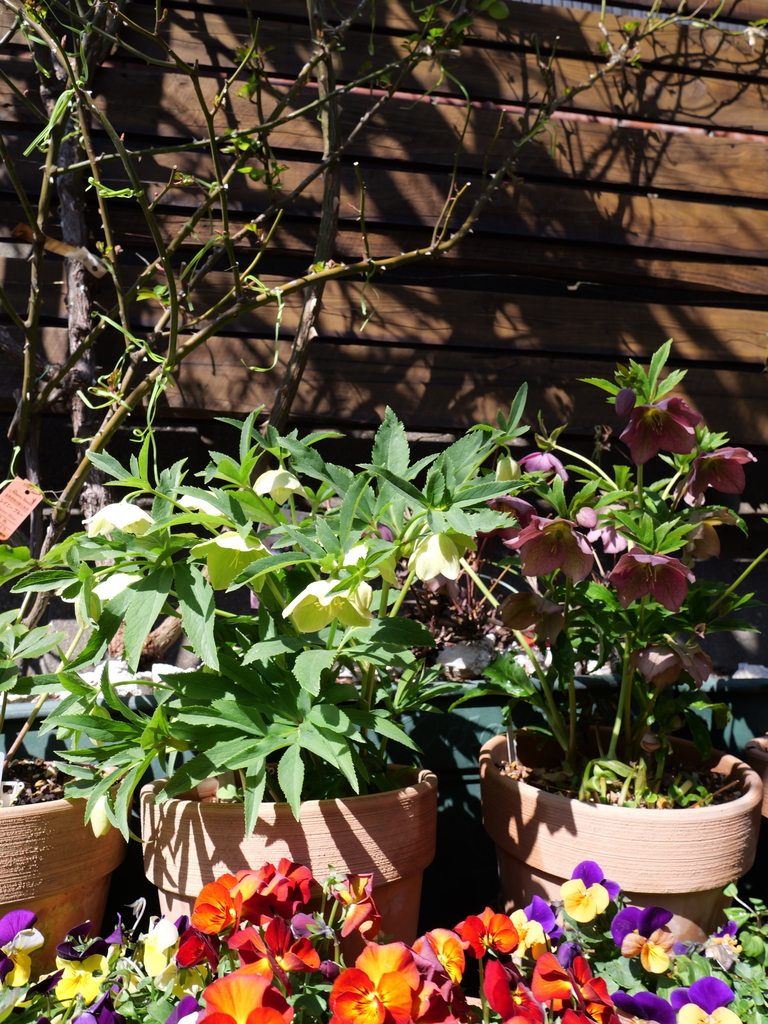 2025-03-01 11_57№(0066).JPG