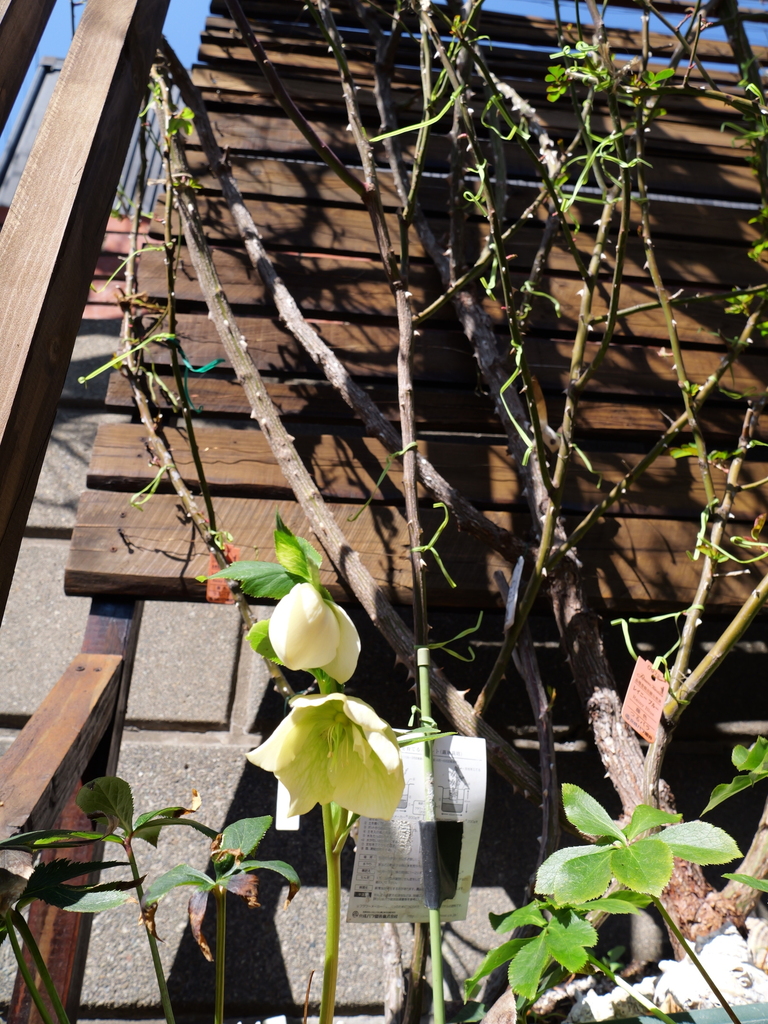 2025-03-01 11_59№(0072).JPG