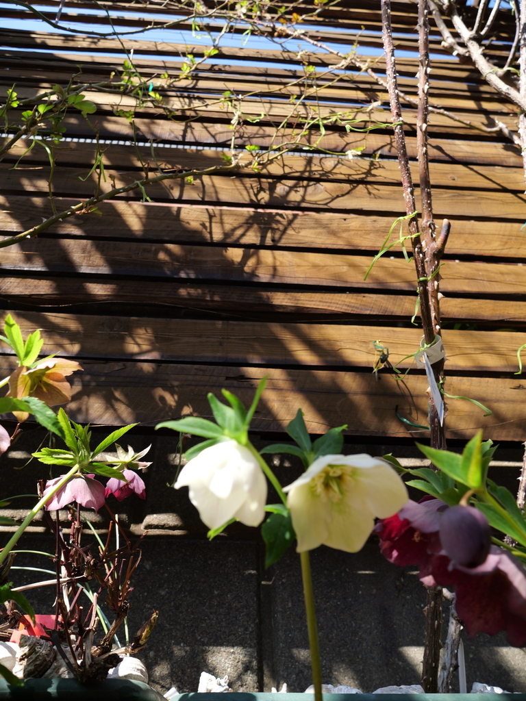 2025-03-01 11_59№(0074).JPG