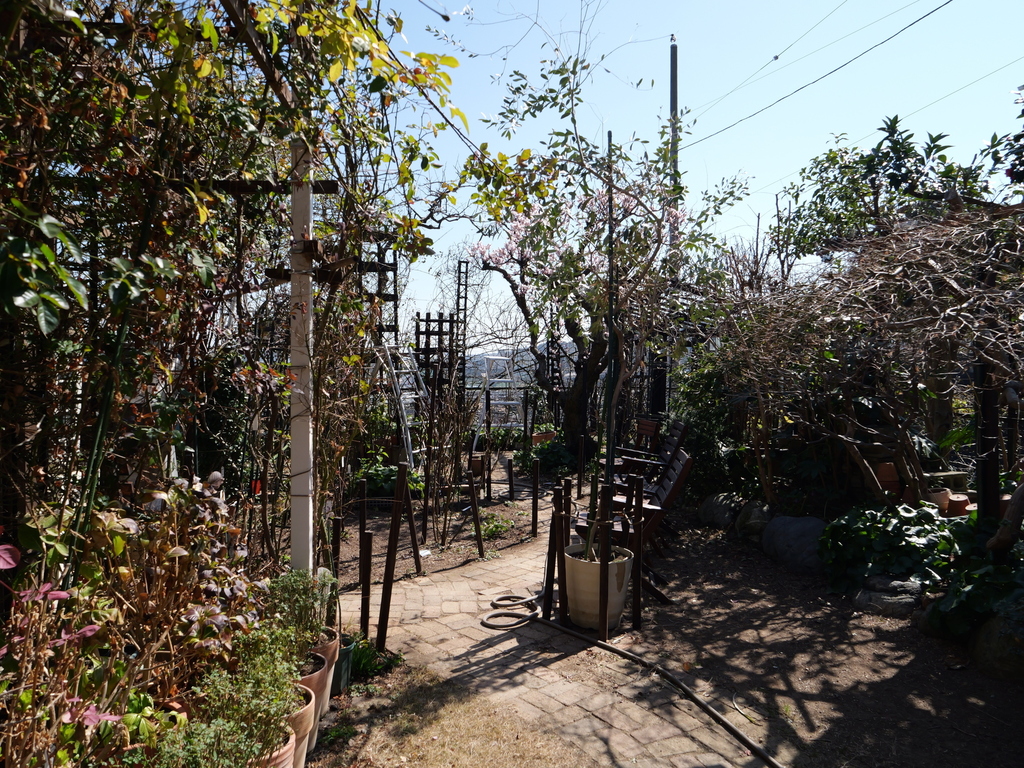 2025-03-01 12_06№(0083).JPG