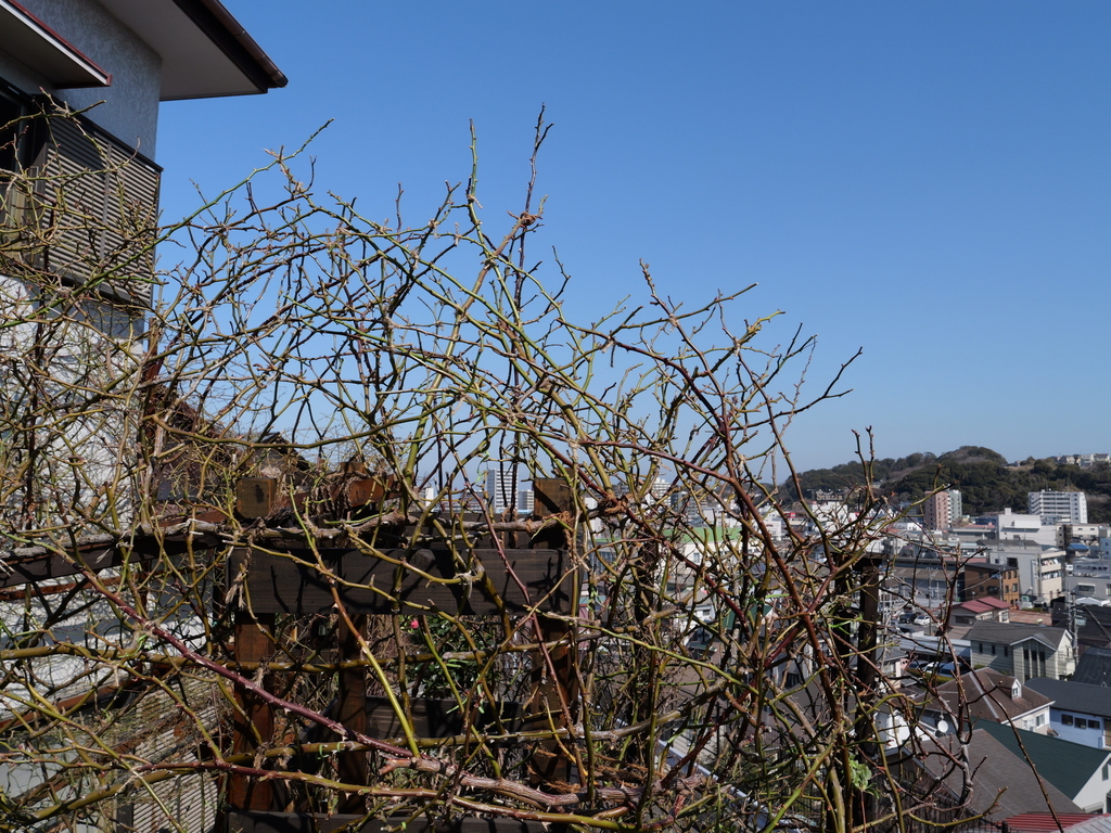 2025-03-01 12_12№(0089).JPG