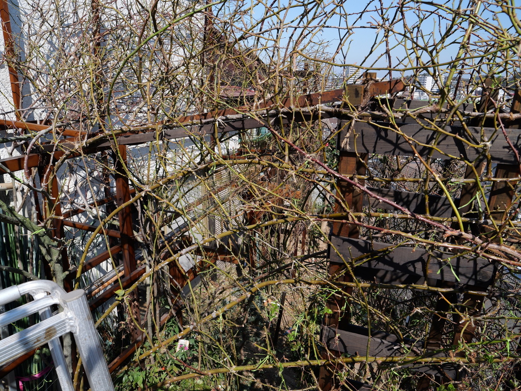 2025-03-01 12_13№(0093).JPG