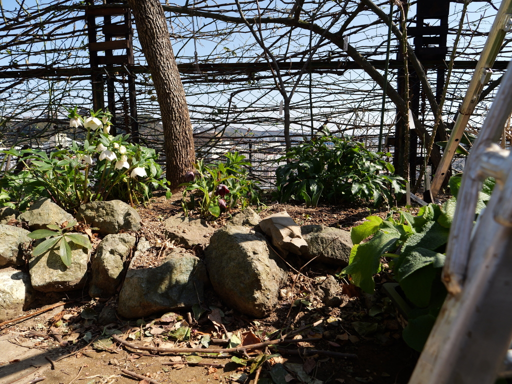 2025-03-01 12_19№(0103).JPG
