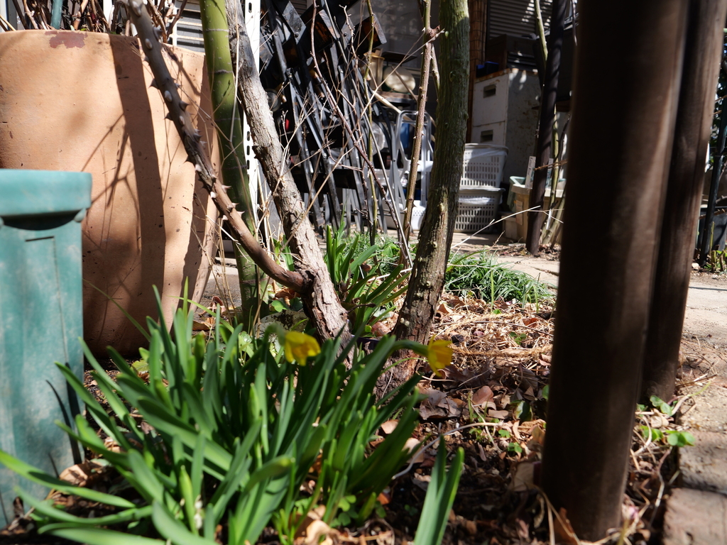 2025-03-01 12_21№(0107).JPG