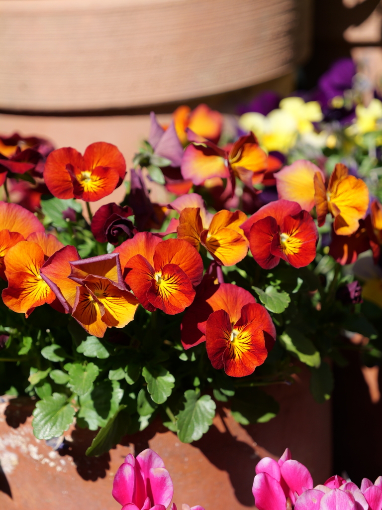 2025-03-01 12_27№(0120).JPG