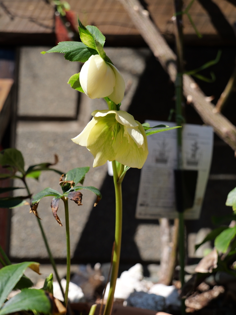 2025-03-01 12_27№(0123).JPG