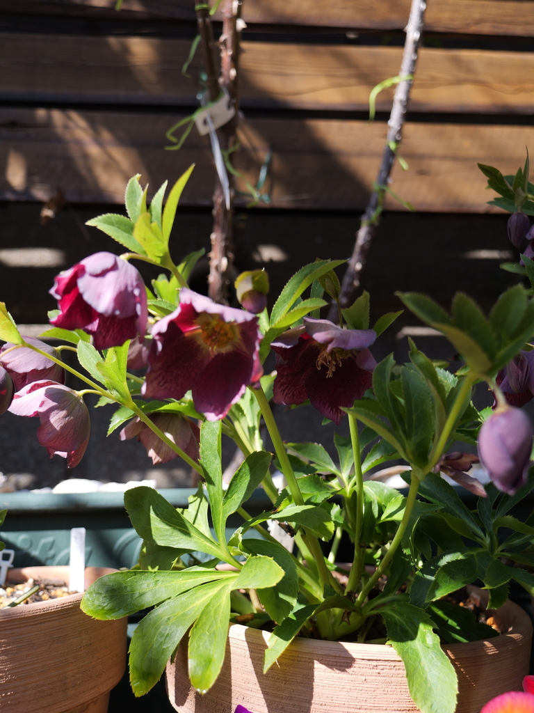 2025-03-01 12_27№(0128).JPG