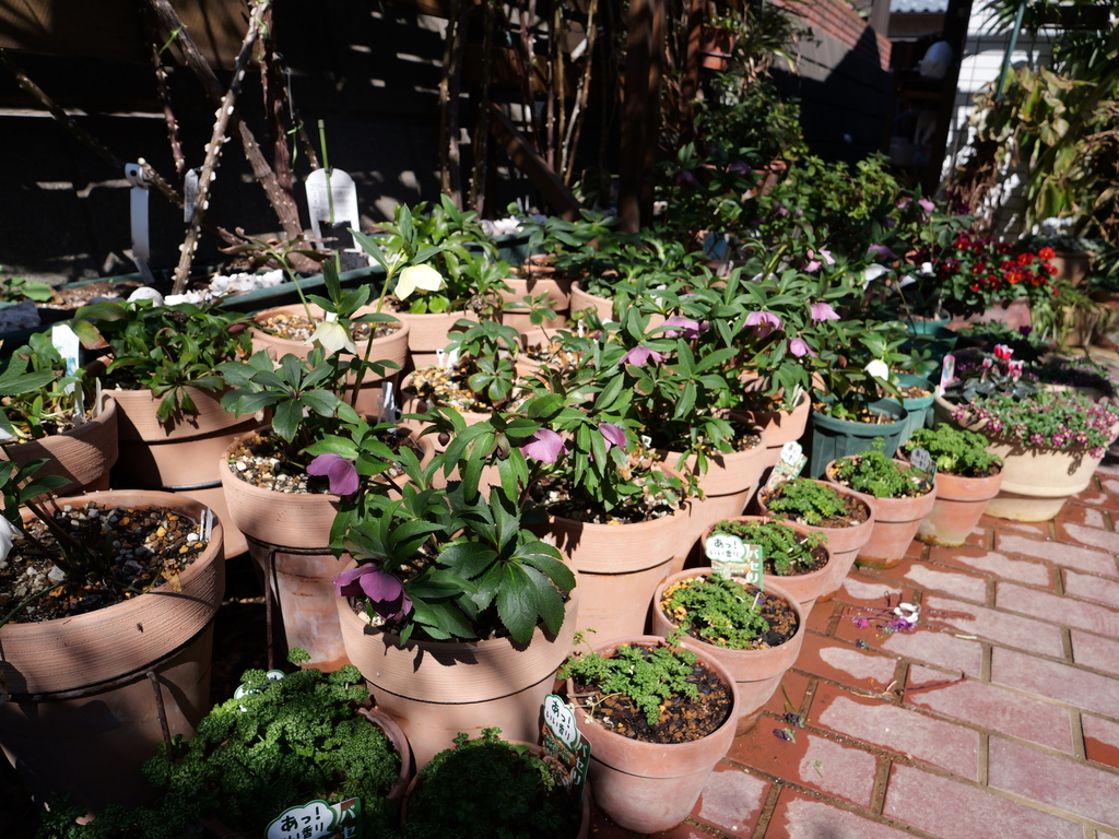 2025-03-01 12_27№(0131).JPG