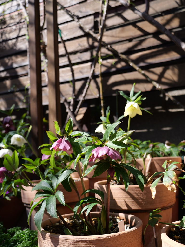 2025-03-01 12_27№(0135).JPG