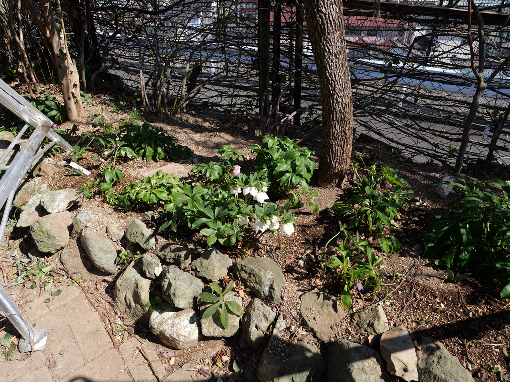2025-03-01 12_28№(0167).JPG
