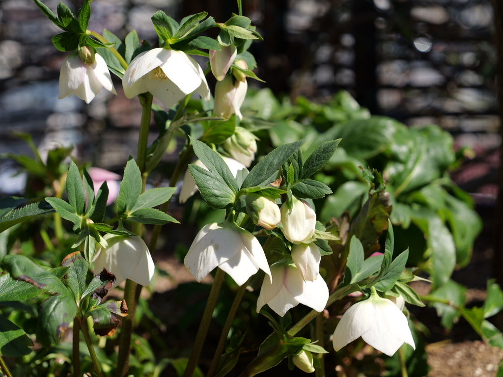 2025-03-01 12_29№(0169).JPG