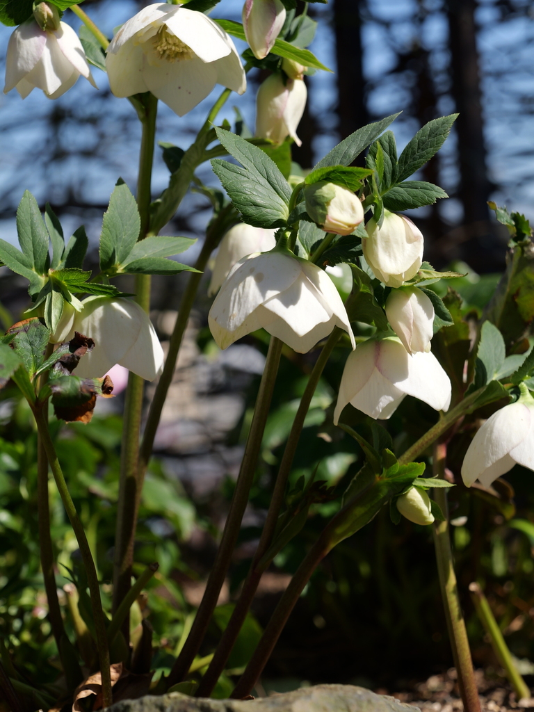 2025-03-01 12_29№(0170).JPG