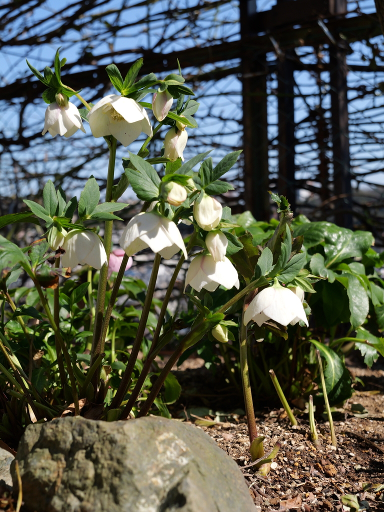 2025-03-01 12_29№(0173).JPG