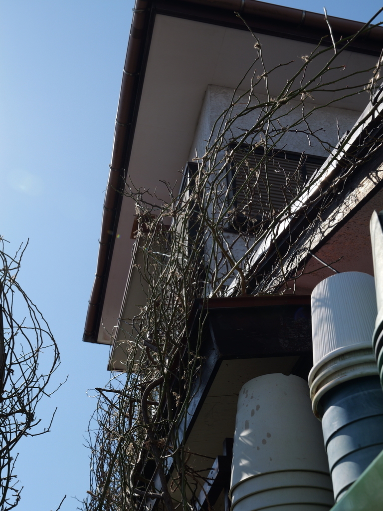 2025-03-01 12_29№(0179).JPG