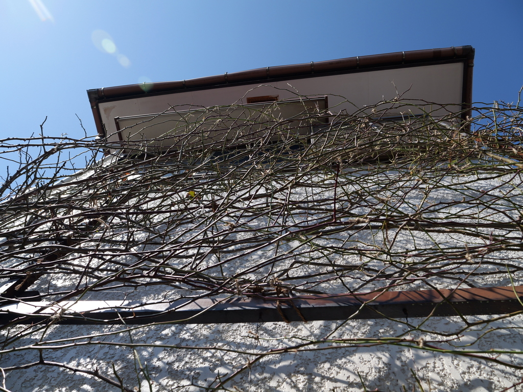 2025-03-01 12_29№(0187).JPG