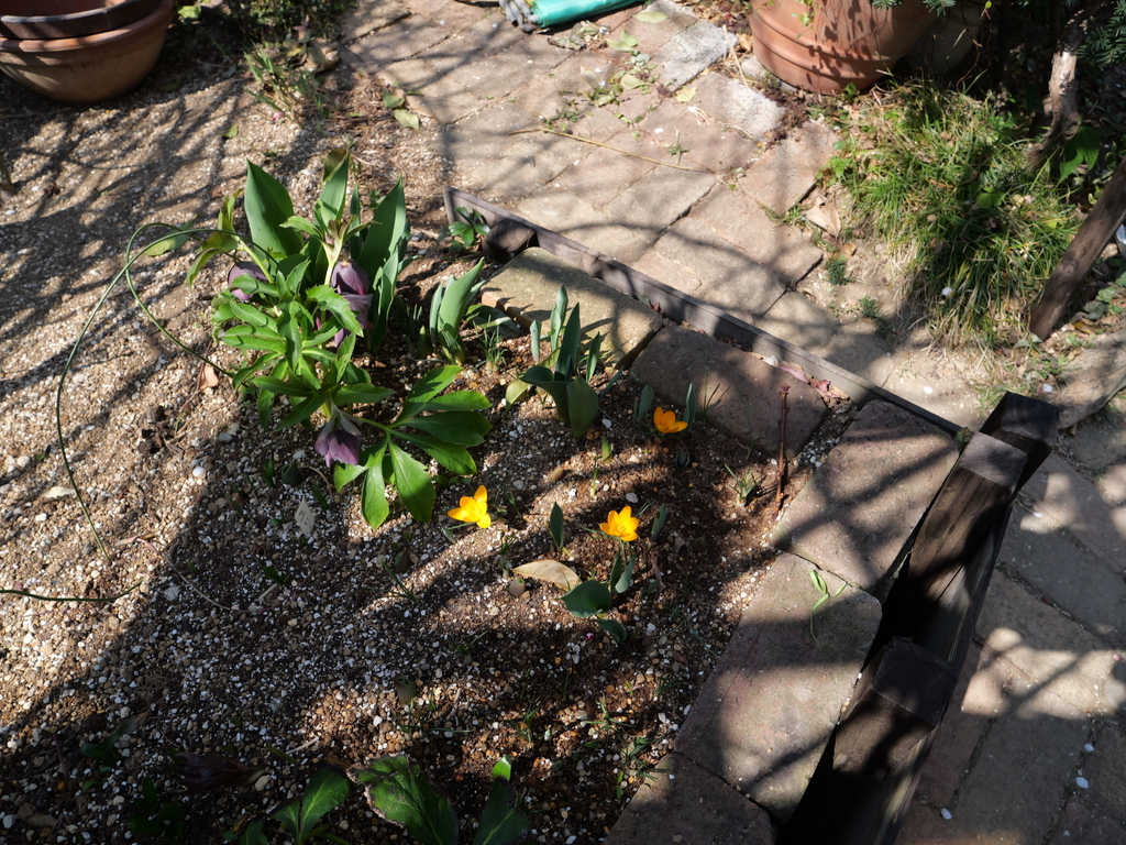2025-03-02 12_05№(0013).JPG