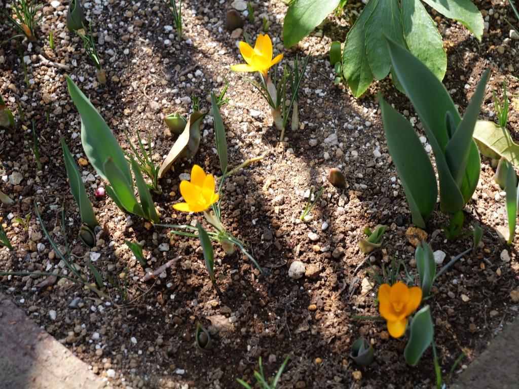 2025-03-02 12_06№(0019).JPG