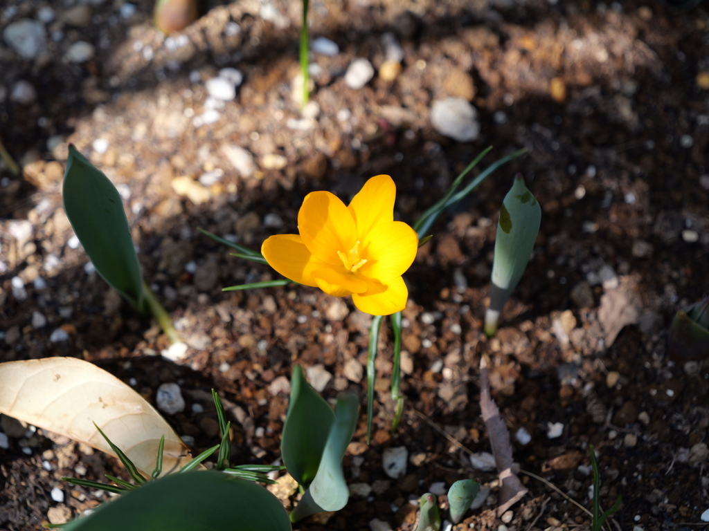 2025-03-02 12_06№(0020).JPG