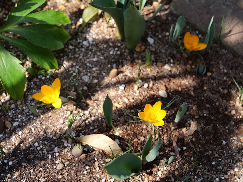 2025-03-02 12_06№(0021).JPG