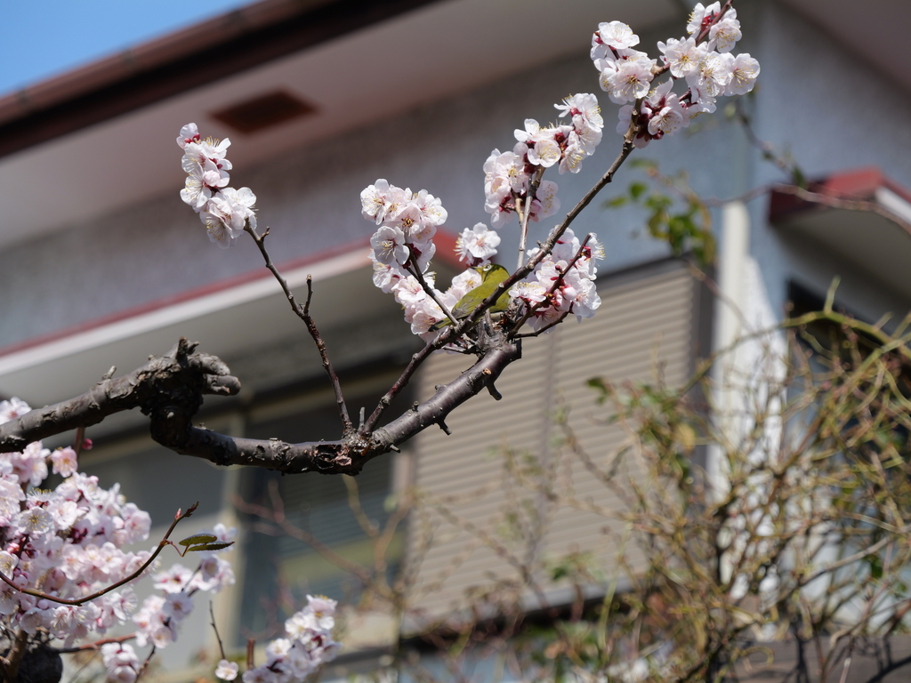 2025-03-02 12_06№(0023).JPG