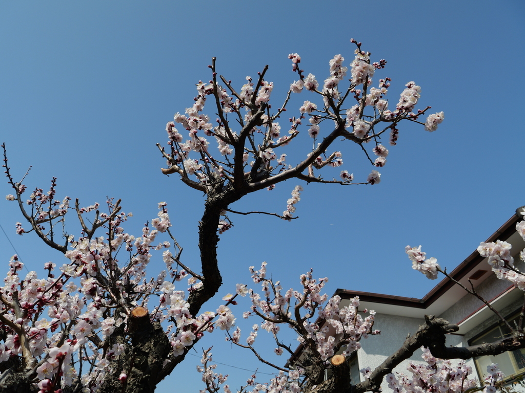 2025-03-02 12_07№(0026).JPG