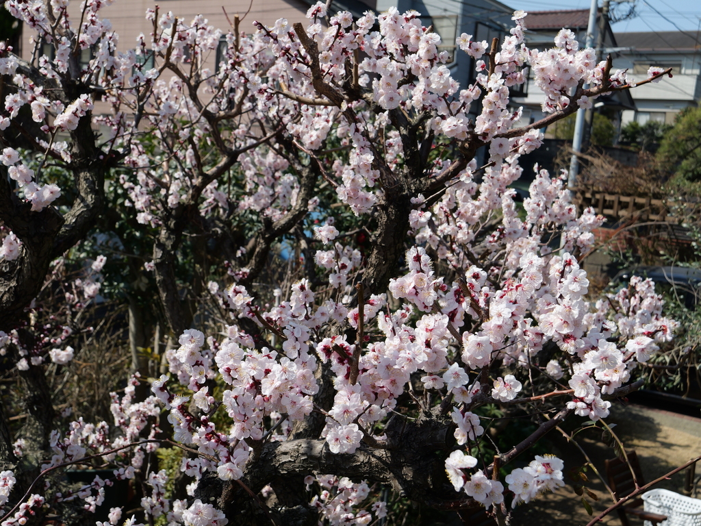 2025-03-02 12_07№(0031).JPG