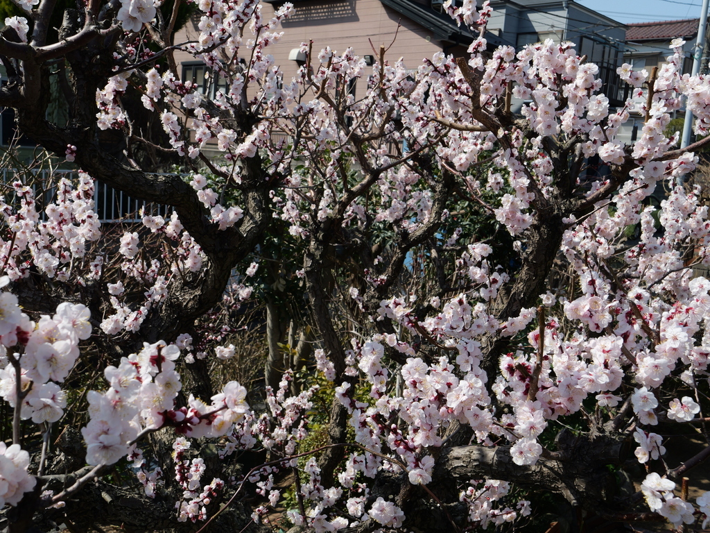 2025-03-02 12_08№(0036).JPG