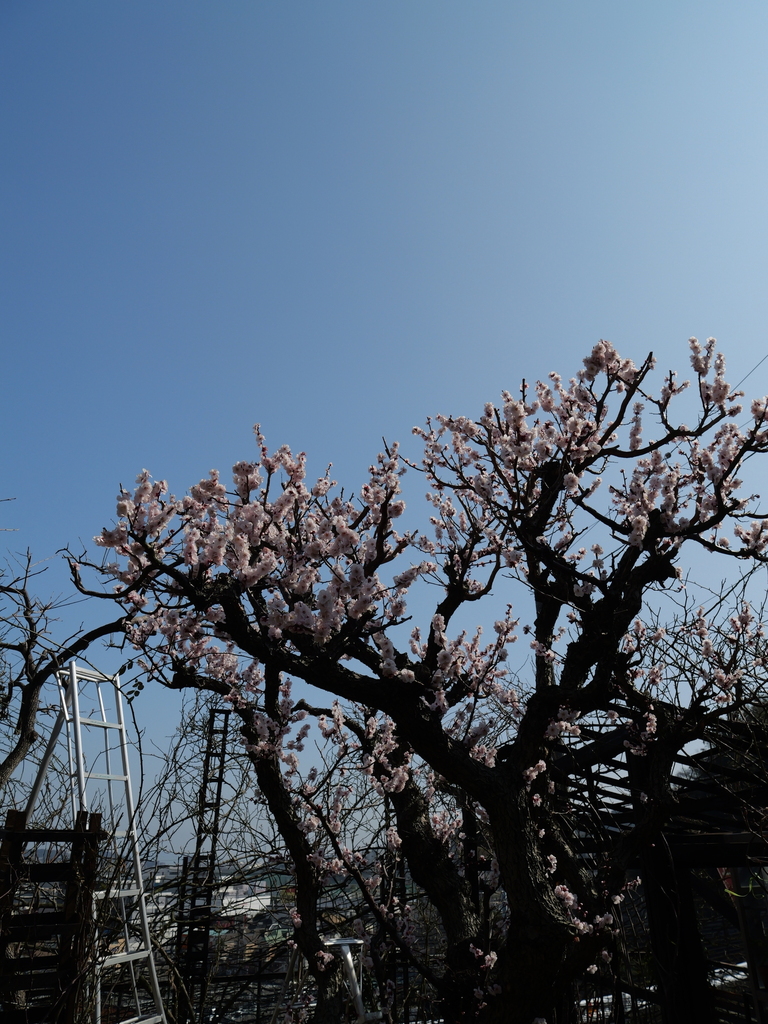 2025-03-02 13_26№(0042).JPG