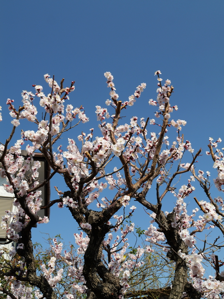 2025-03-02 13_29№(0050).JPG