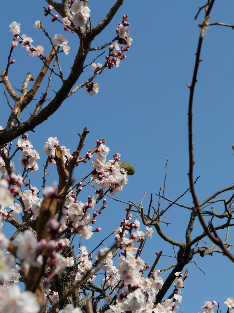 2025-03-02 13_29№(0051).JPG