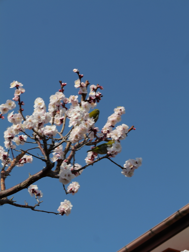 2025-03-02 13_30№(0054).JPG