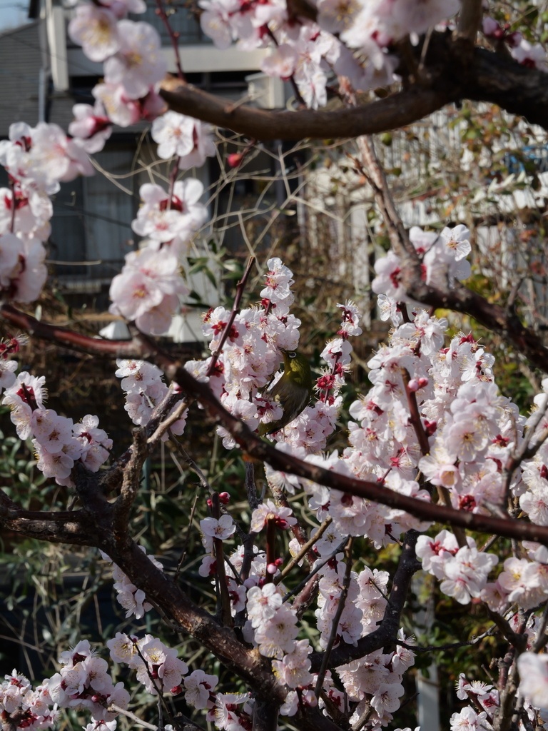 2025-03-02 13_33№(0065).JPG