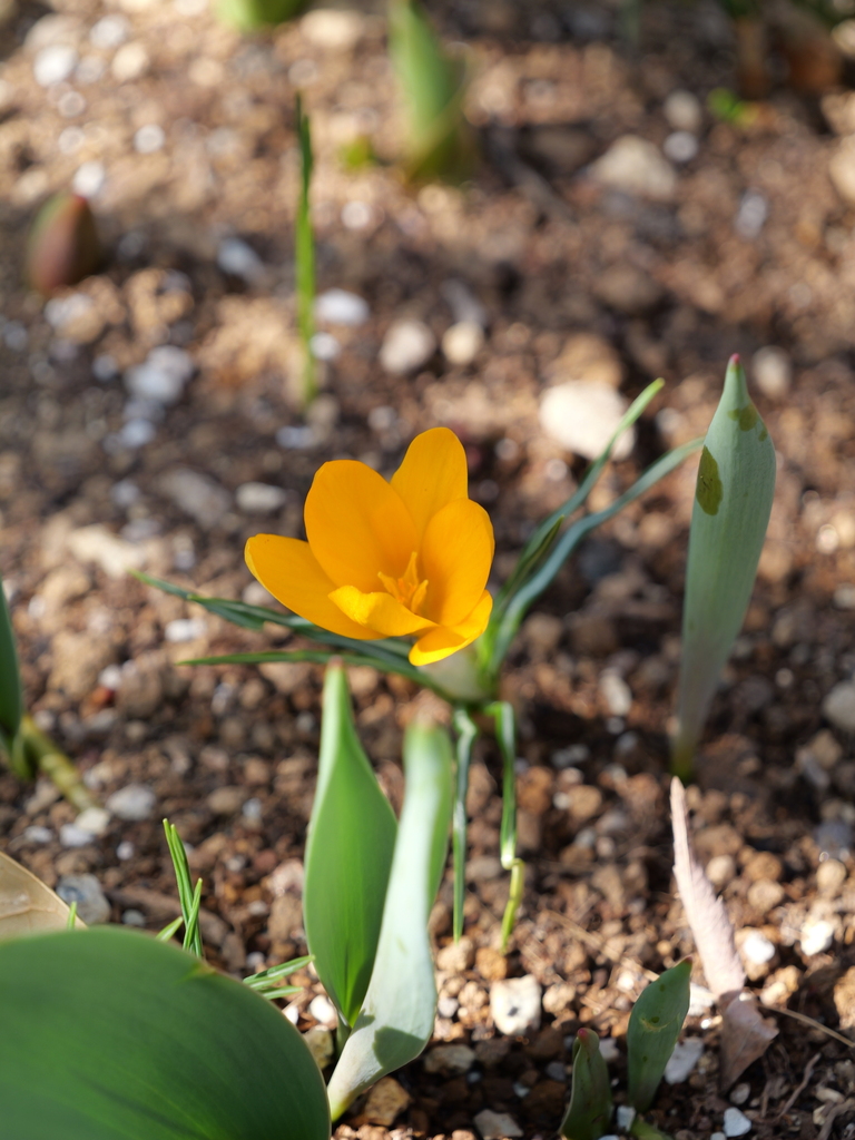 2025-03-02 13_37№(0079).JPG