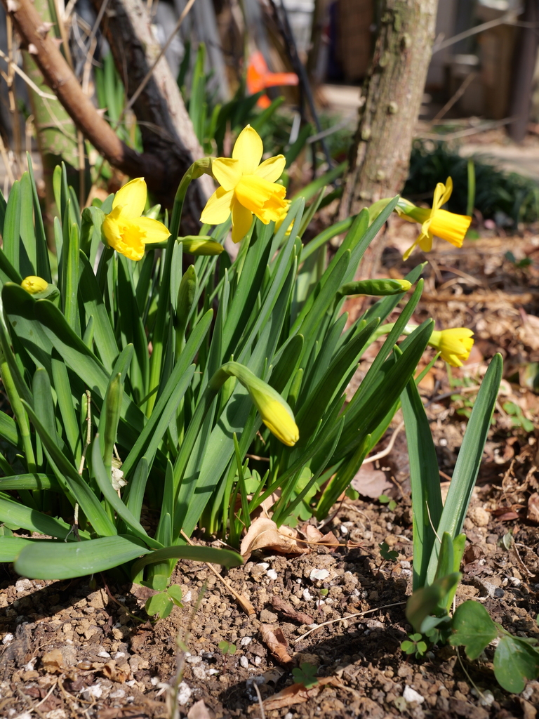 2025-03-02 13_39№(0085).JPG