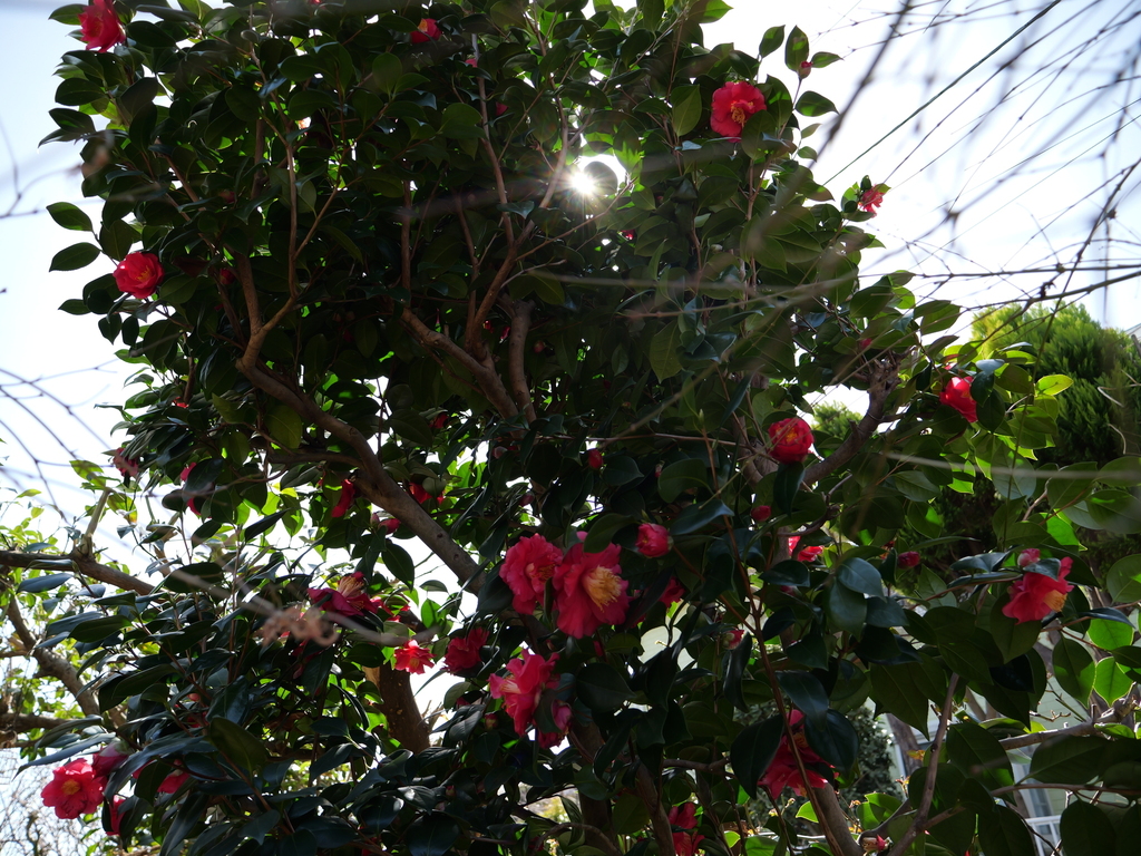 2025-03-07 11_31№(0006).JPG