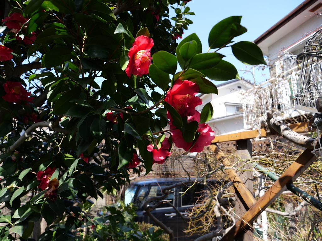 2025-03-07 11_32№(0008).JPG