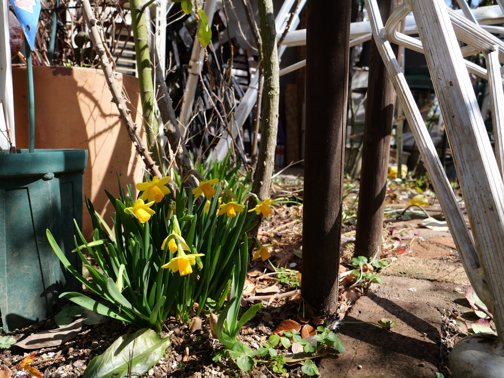 2025-03-07 11_39№(0021).JPG