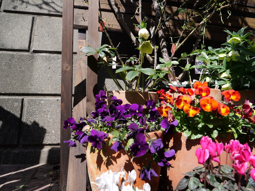 2025-03-07 11_42№(0026).JPG