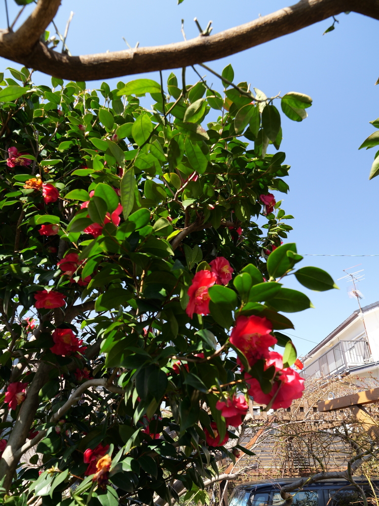 2025-03-07 11_54№(0047).JPG